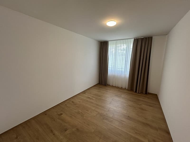 4.5- Zimmer-Attikawohnung im Eigentumsstandard gesucht? (13)