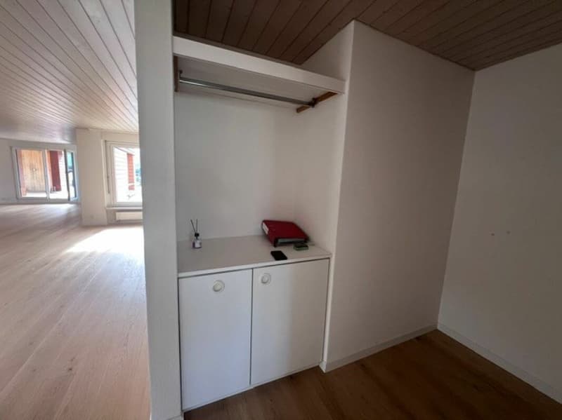Traumhafte 5.5-Zimmerwohung mit grosszügigem Grundriss und Terrasse sucht Sie! (10)