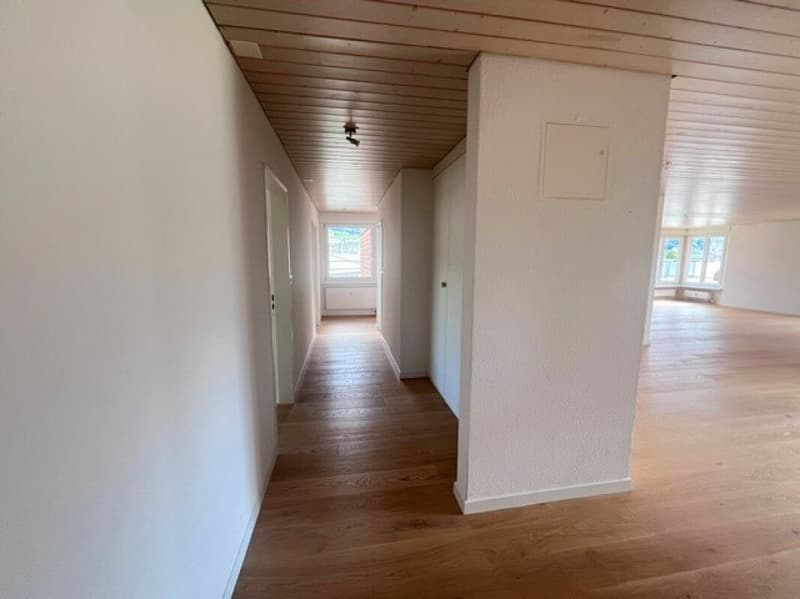 Traumhafte 5.5-Zimmerwohung mit grosszügigem Grundriss und Terrasse sucht Sie! (11)