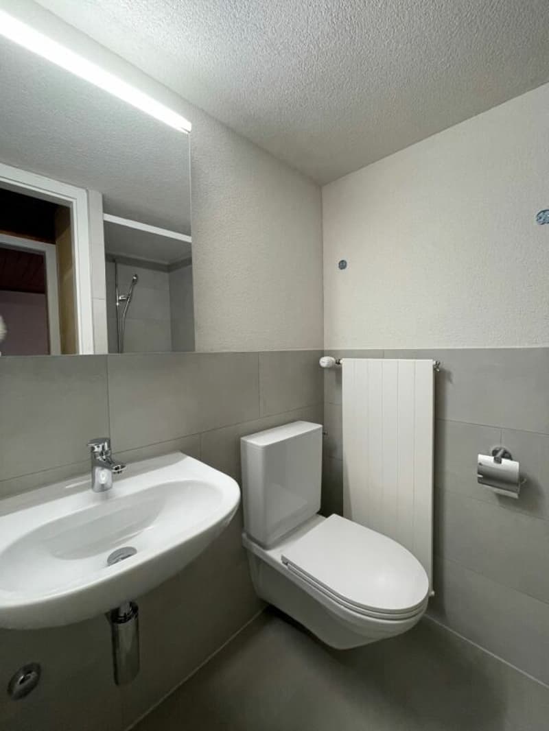 Gemütliche 2.5-Zimmer-Dachwohnung im historischen Ambiente von Rapperswil zu vermieten (9)