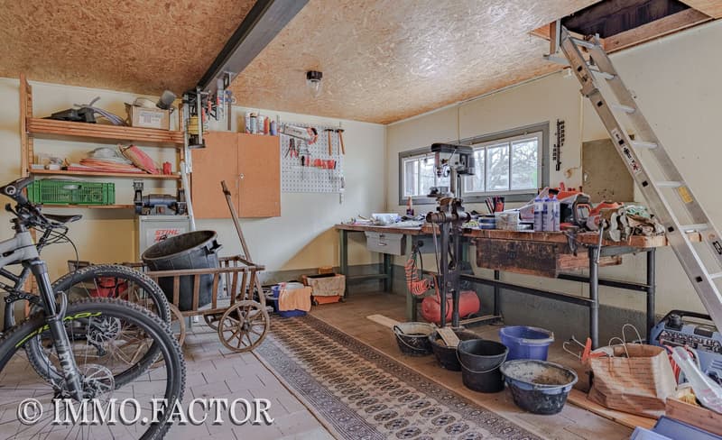 Enchanting ensemble of chalet, bungalow, studio building & shed (20)