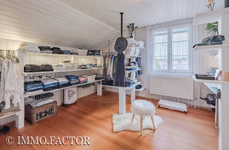 Enchanting ensemble of chalet, bungalow, studio building & shed (10)