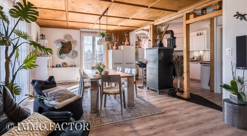Enchanting ensemble of chalet, bungalow, studio building & shed (5)