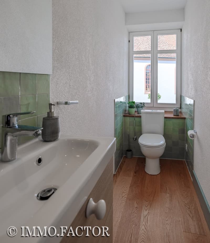 Renovated gem with historic charm π (18)