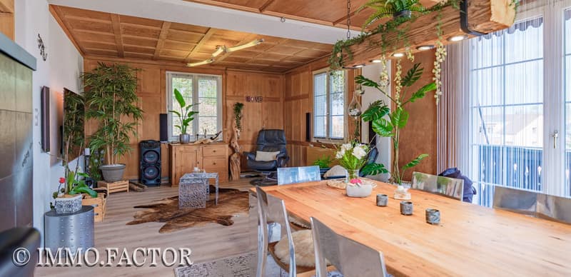 Enchanting ensemble of chalet, bungalow, studio building & shed (4)