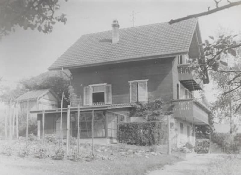 Enchanting ensemble of chalet, bungalow, studio building & shed (23)