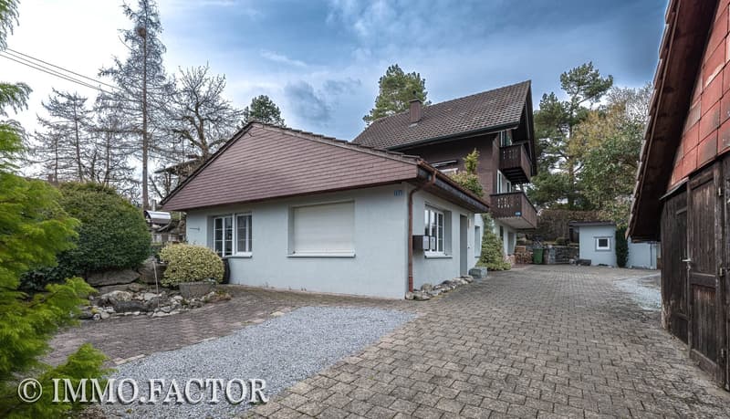 Enchanting ensemble of chalet, bungalow, studio building & shed (12)
