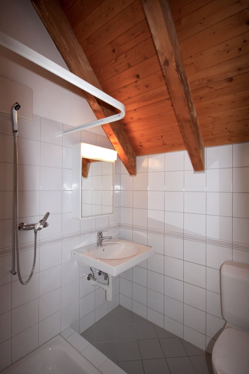 Badzimmer mit Dusche / WC