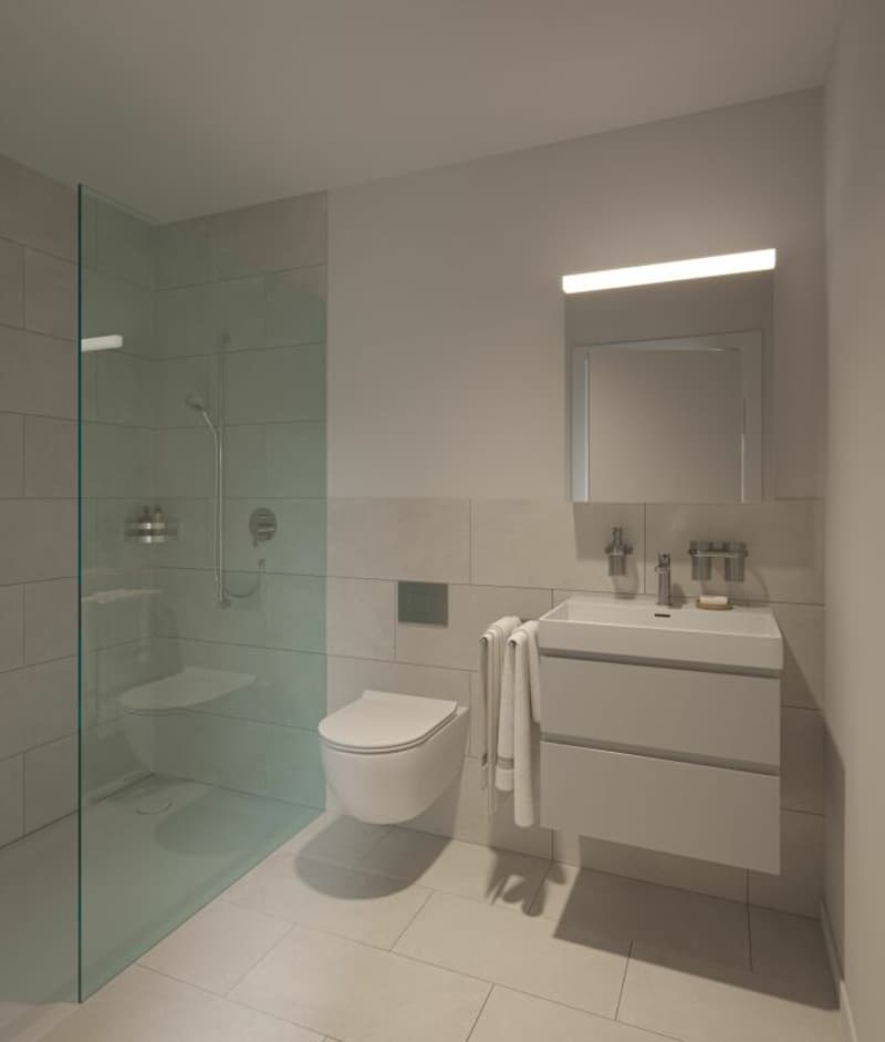 Moderne 4.5 Zimmer Terrassenwohnung (Erstwohnsitz) (3)