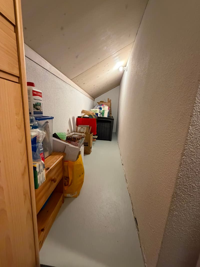 Appartamento moderno 2.5 locali con panorama montano a Glarus (11)