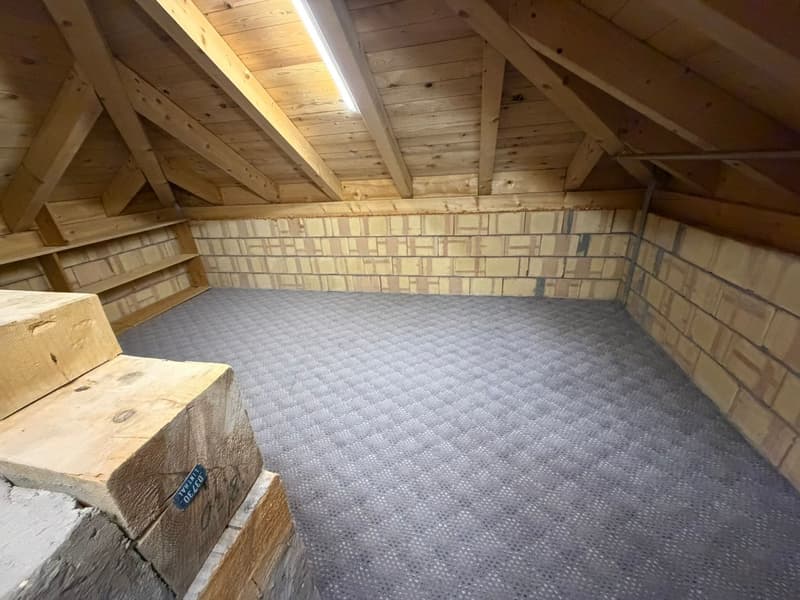 Spacious 4.5-room maisonette apartment in Glarus Süd – available immediately! (13)