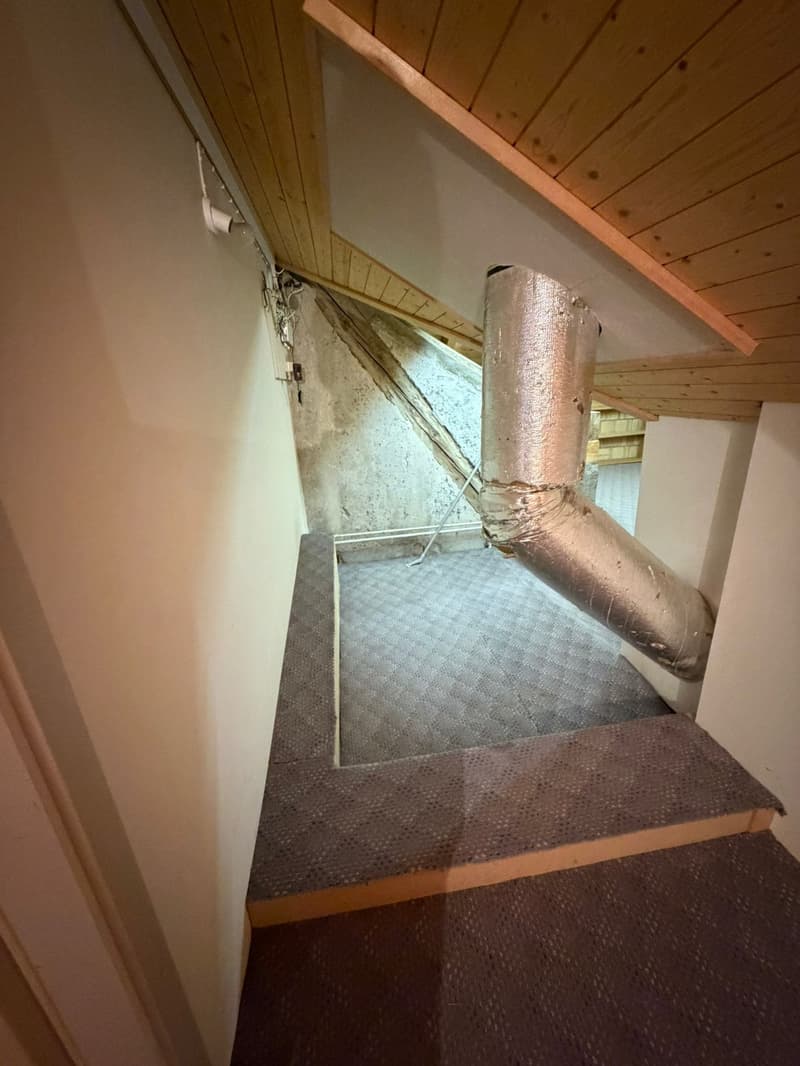 Spacious 4.5-room maisonette apartment in Glarus Süd – available immediately! (12)