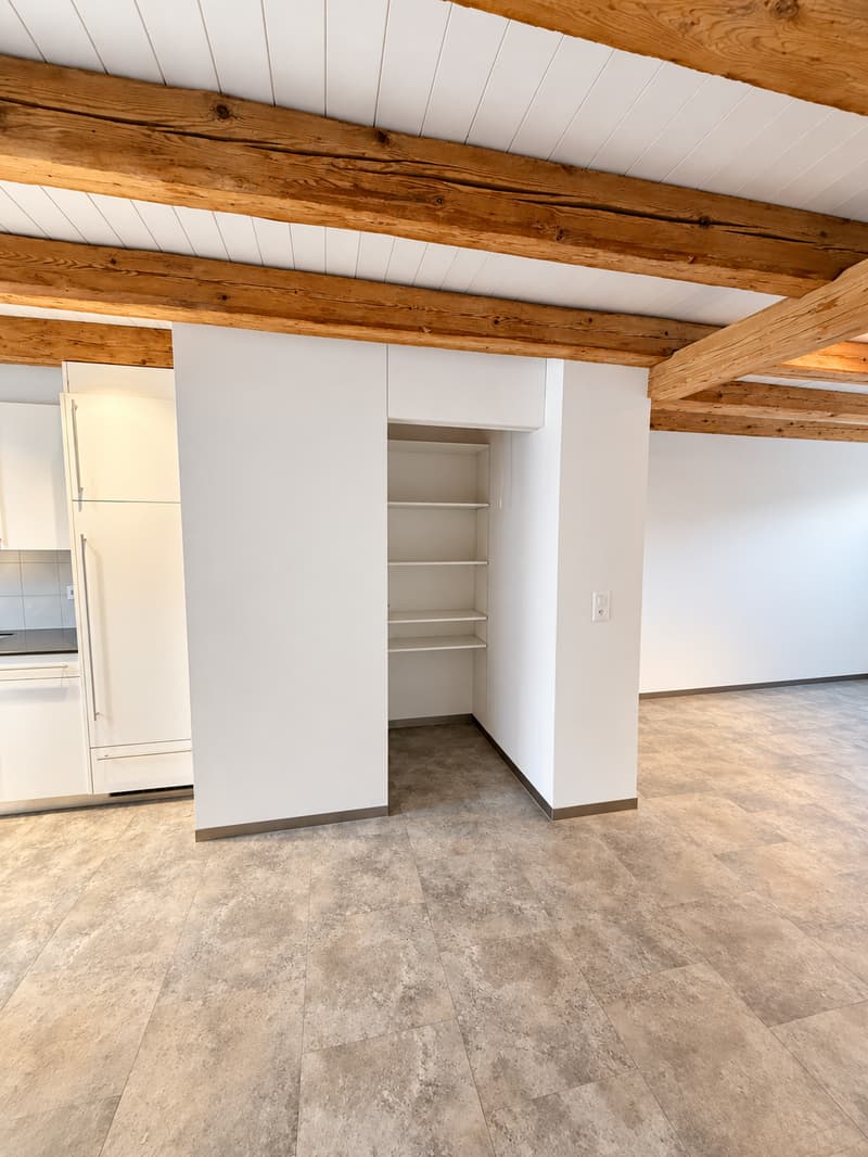Charmante 3-Zimmer-Dachwohnung mit Bergblick in Glarus (5)