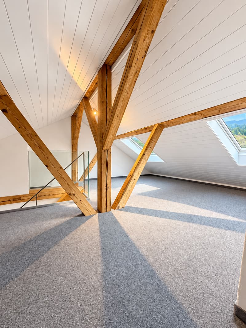 Charmante 3-Zimmer-Dachwohnung mit Bergblick in Glarus (16)