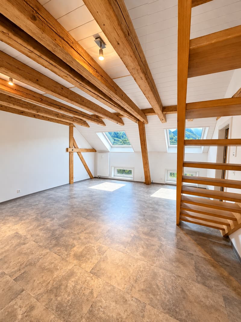 Charmante 3-Zimmer-Dachwohnung mit Bergblick in Glarus (3)