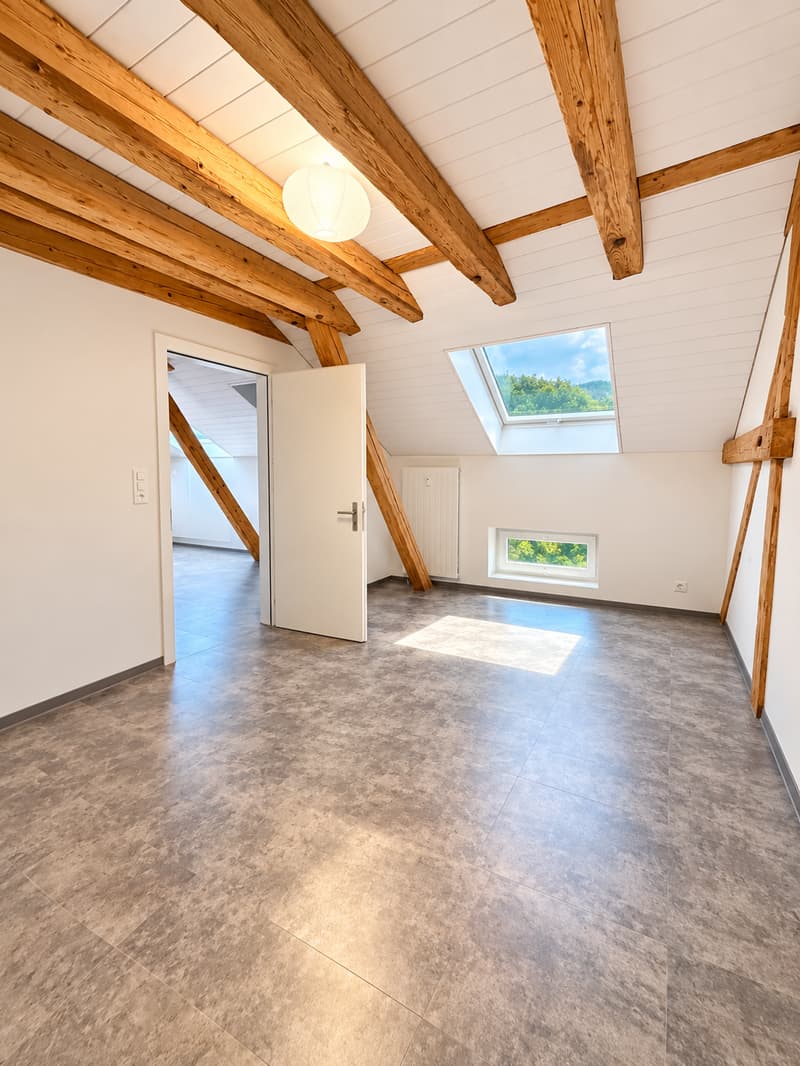 Charmante 3-Zimmer-Dachwohnung mit Bergblick in Glarus (11)