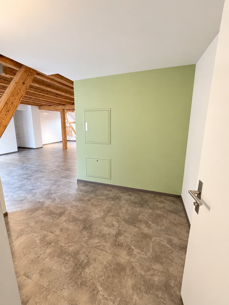 Charmante 3-Zimmer-Dachwohnung mit Bergblick in Glarus (6)