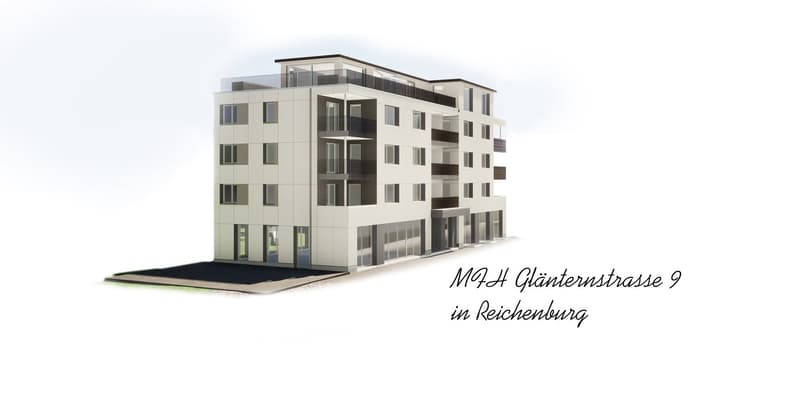 Moderne 2 1/2 Zimmerwohnung (5)