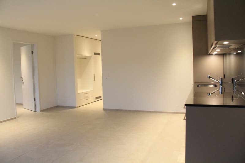 Moderne 2 1/2 Zimmerwohnung (3)