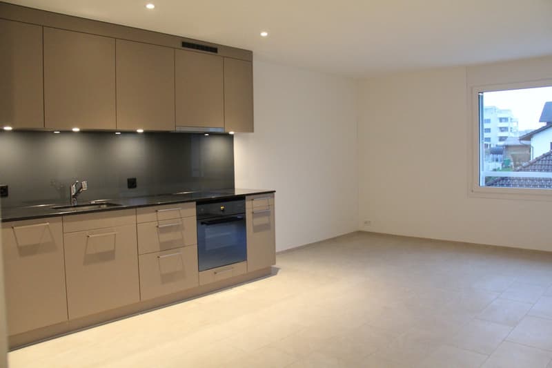 Moderne 2 1/2 Zimmerwohnung (2)