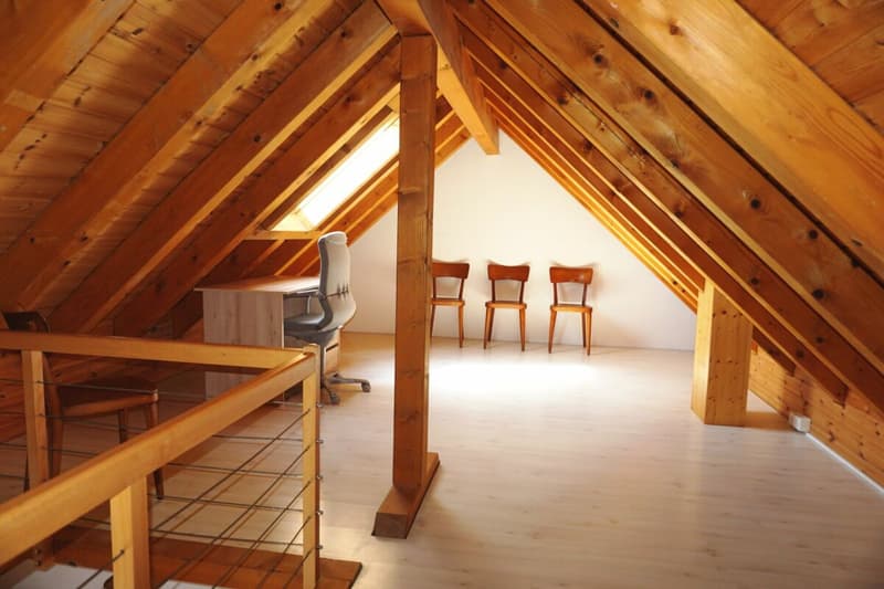 Appartamento mansardato di 3 1/2 locali accogliente (6)