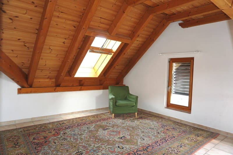 Appartamento mansardato di 3 1/2 locali accogliente (3)