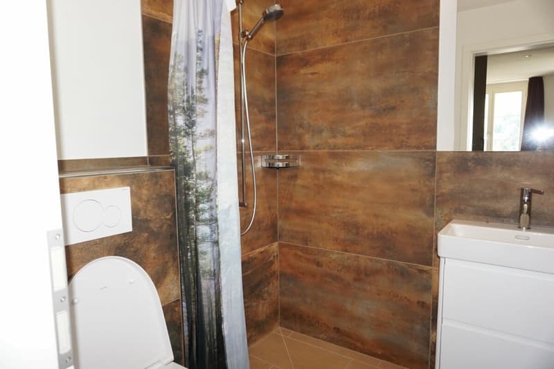Charming 1-room studio (4)