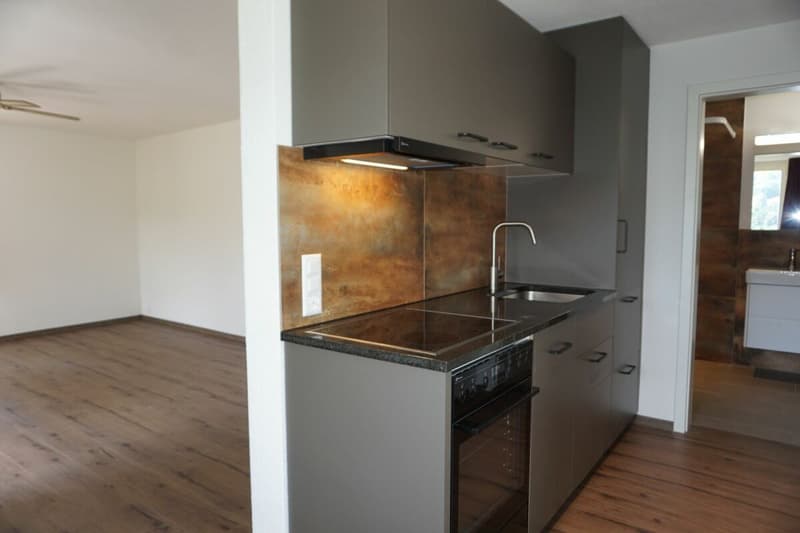 Charming 1-room studio (3)