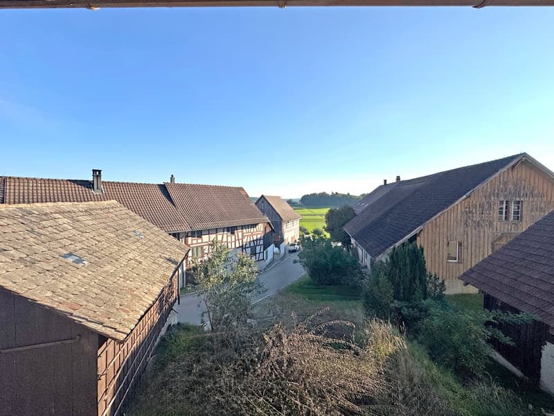 Part of a house (formerly a farmhouse), in raw construction, building permit for complete renovation available (15)