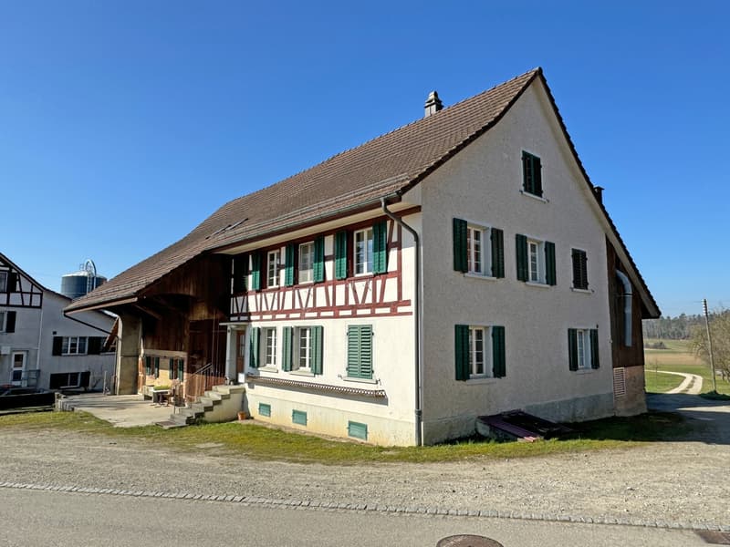 Agricultural estate with farmhouse, various economic buildings and meadow land, with great potential (1)