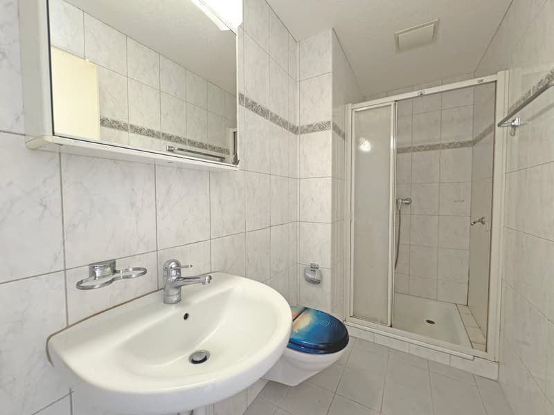 Spacious 5.5-room attic apartment with a far-reaching view in Fehraltorf (12)