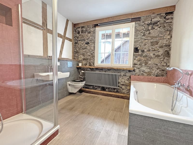 Charming lover's object, with 6½ rooms, a lot of wood and warmth, with an agricultural parcel on the Thur (22)