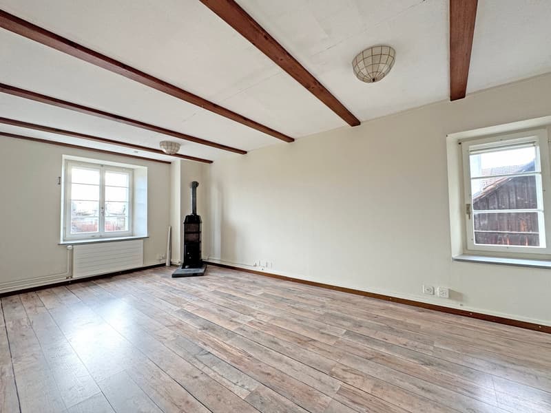 Charming lover's object, with 6½ rooms, a lot of wood and warmth, with an agricultural parcel on the Thur (16)