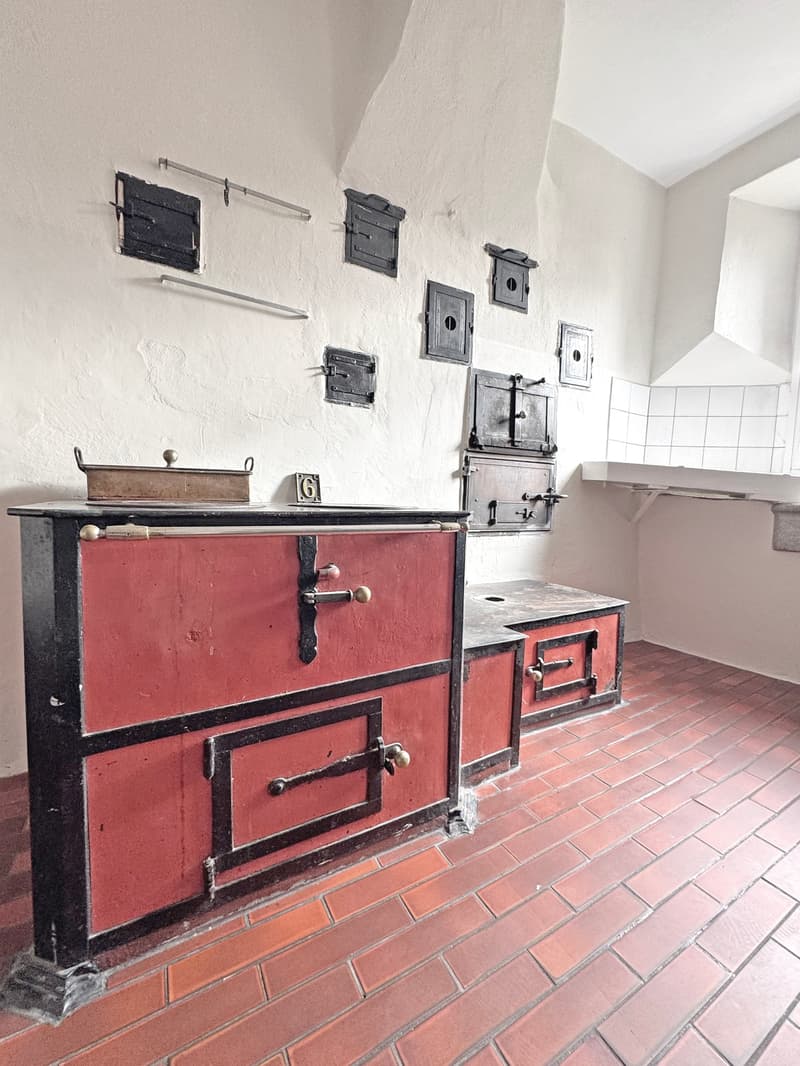 Charming lover's object, with 6½ rooms, a lot of wood and warmth, with an agricultural parcel on the Thur (9)