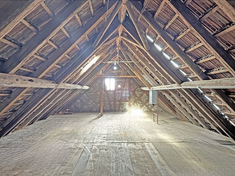 Charming lover's object, with 6½ rooms, a lot of wood and warmth, with an agricultural parcel on the Thur (27)