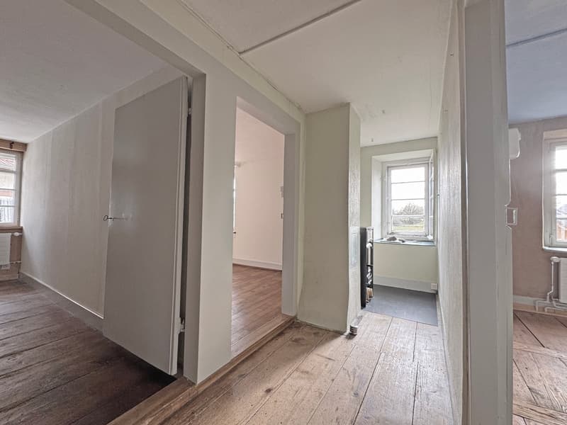 Charming lover's object, with 6½ rooms, a lot of wood and warmth, with an agricultural parcel on the Thur (14)