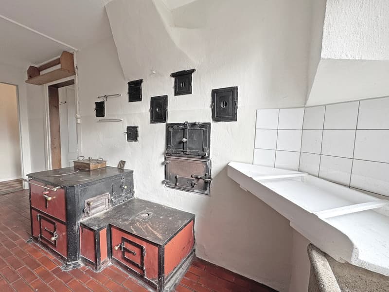 Charming lover's object, with 6½ rooms, a lot of wood and warmth, with an agricultural parcel on the Thur (10)