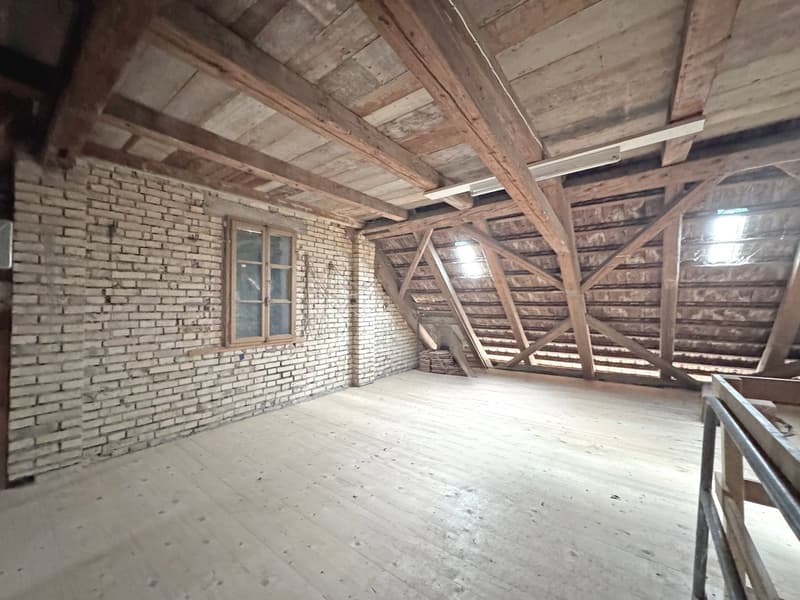 Charming lover's object, with 6½ rooms, a lot of wood and warmth, with an agricultural parcel on the Thur (26)