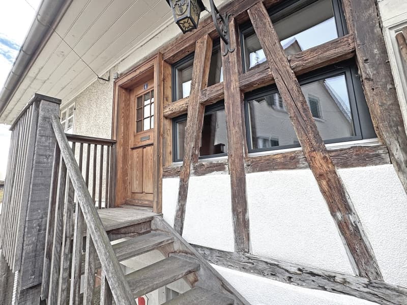 Charming lover's object, with 6½ rooms, a lot of wood and warmth, with an agricultural parcel on the Thur (29)