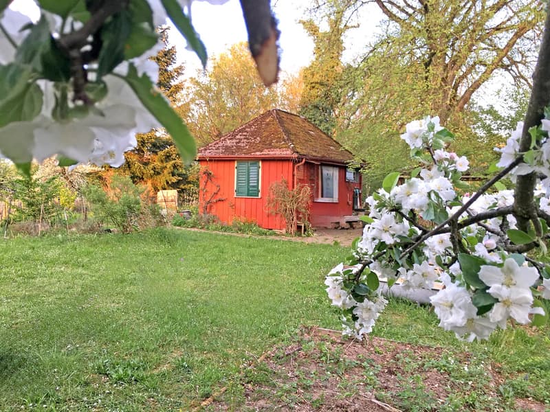 Charming lover's object, with 6½ rooms, a lot of wood and warmth, with an agricultural parcel on the Thur (33)