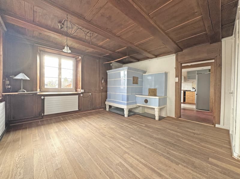 Charming lover's object, with 6½ rooms, a lot of wood and warmth, with an agricultural parcel on the Thur (6)