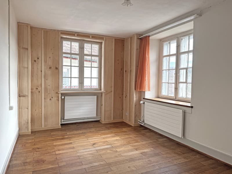 Charming lover's object, with 6½ rooms, a lot of wood and warmth, with an agricultural parcel on the Thur (18)