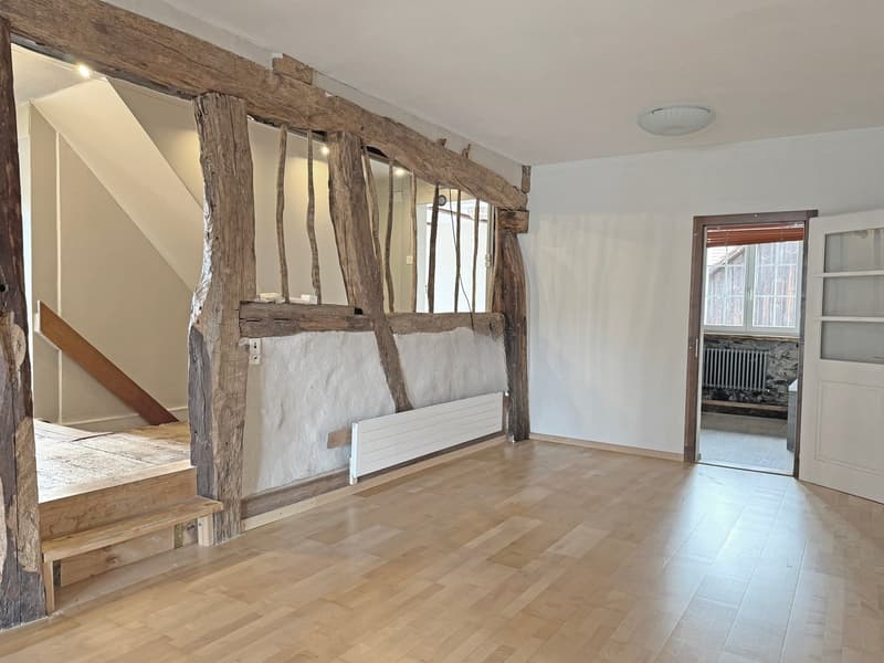 Charming lover's object, with 6½ rooms, a lot of wood and warmth, with an agricultural parcel on the Thur (21)