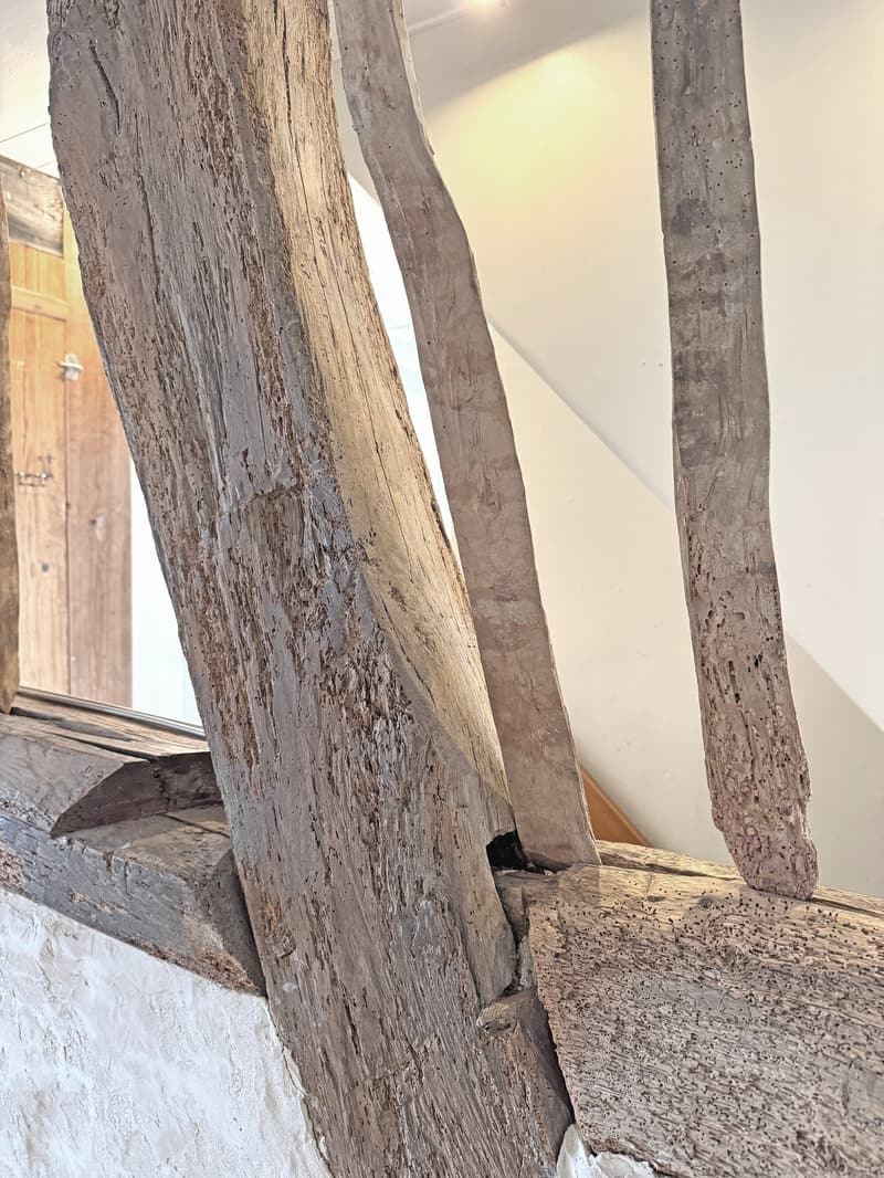 Charming lover's object, with 6½ rooms, a lot of wood and warmth, with an agricultural parcel on the Thur (23)