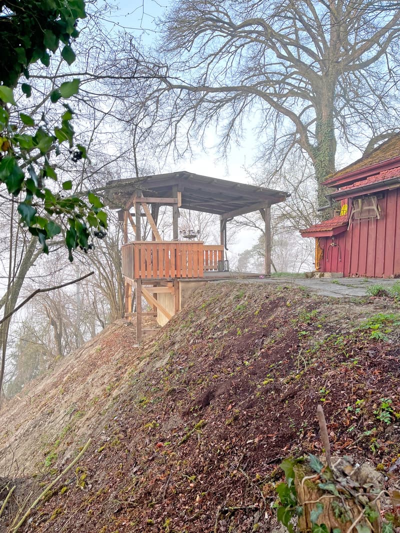 Charming lover's object, with 6½ rooms, a lot of wood and warmth, with an agricultural parcel on the Thur (38)