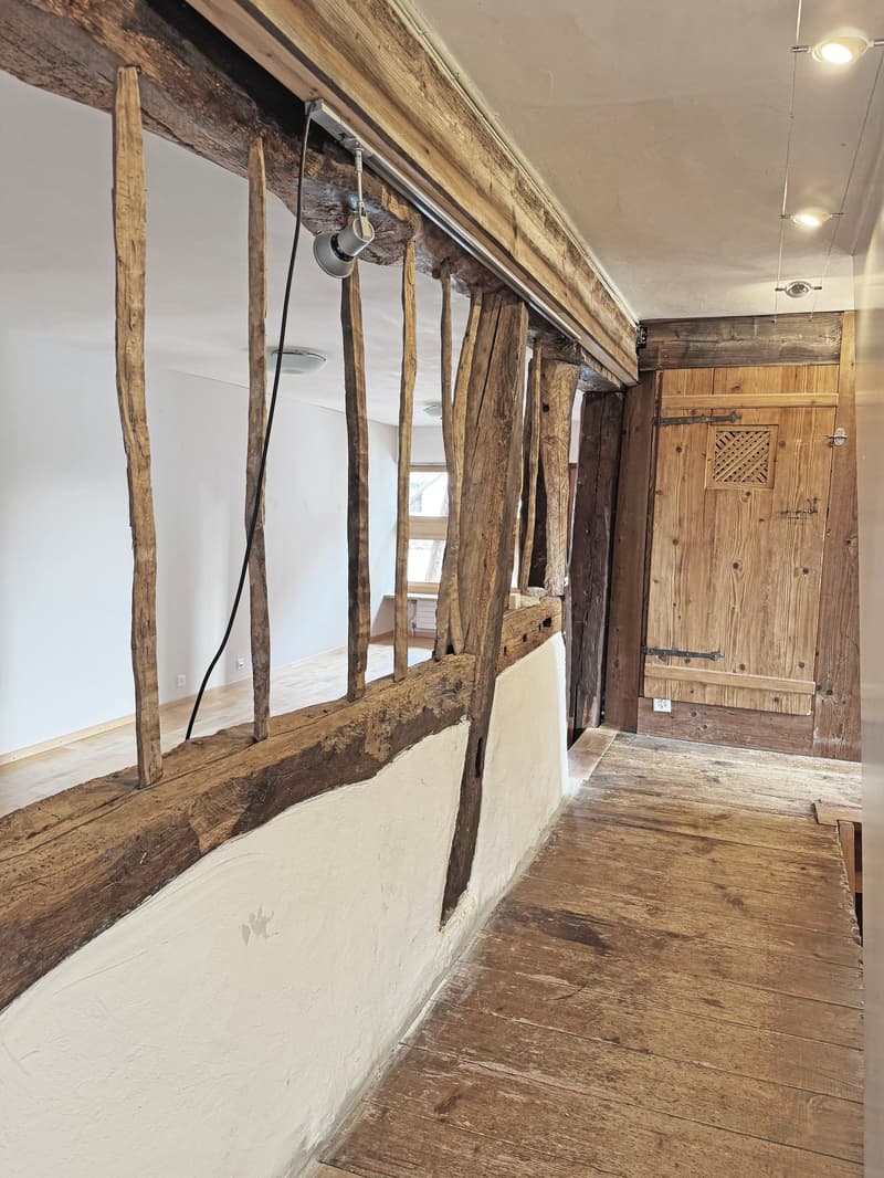 Charming lover's object, with 6½ rooms, a lot of wood and warmth, with an agricultural parcel on the Thur (24)