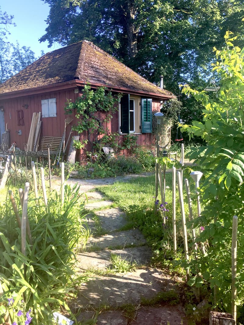 Charming lover's object, with 6½ rooms, a lot of wood and warmth, with an agricultural parcel on the Thur (35)