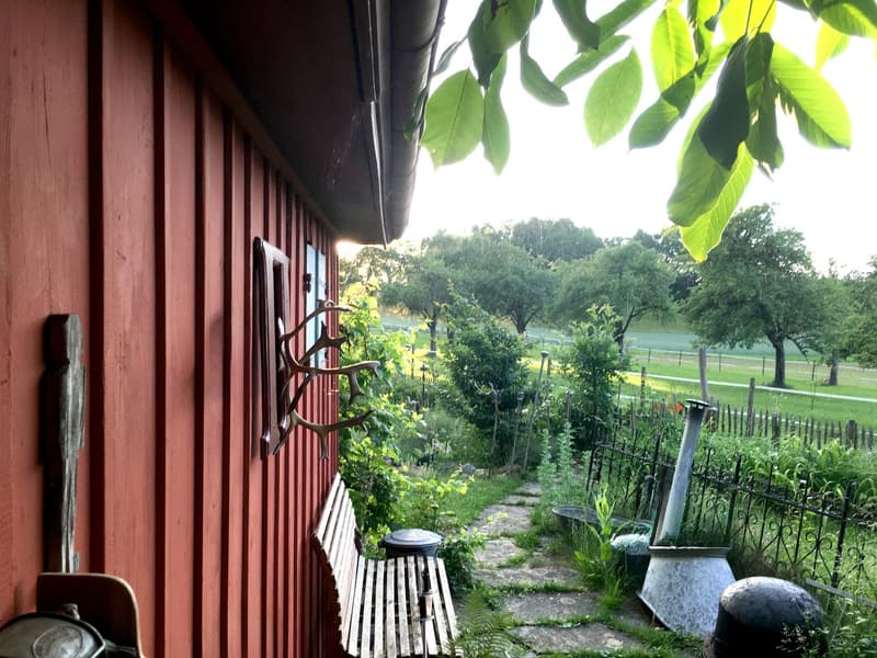 Charming lover's object, with 6½ rooms, a lot of wood and warmth, with an agricultural parcel on the Thur (34)