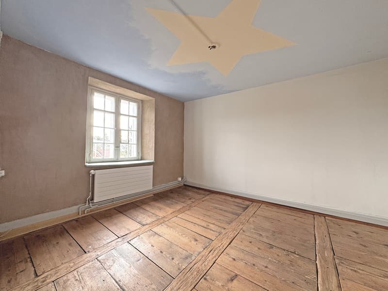 Charming lover's object, with 6½ rooms, a lot of wood and warmth, with an agricultural parcel on the Thur (17)