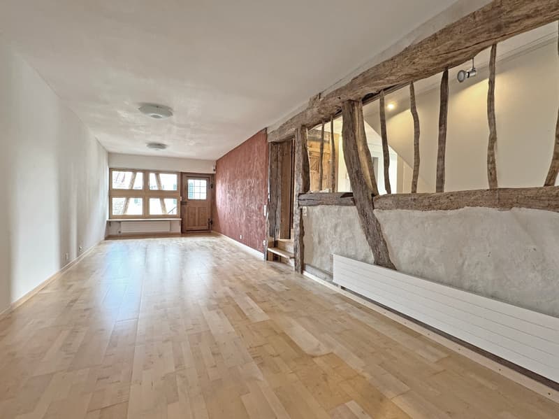 Charming lover's object, with 6½ rooms, a lot of wood and warmth, with an agricultural parcel on the Thur (20)